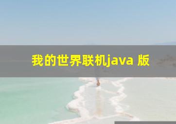 我的世界联机java 版